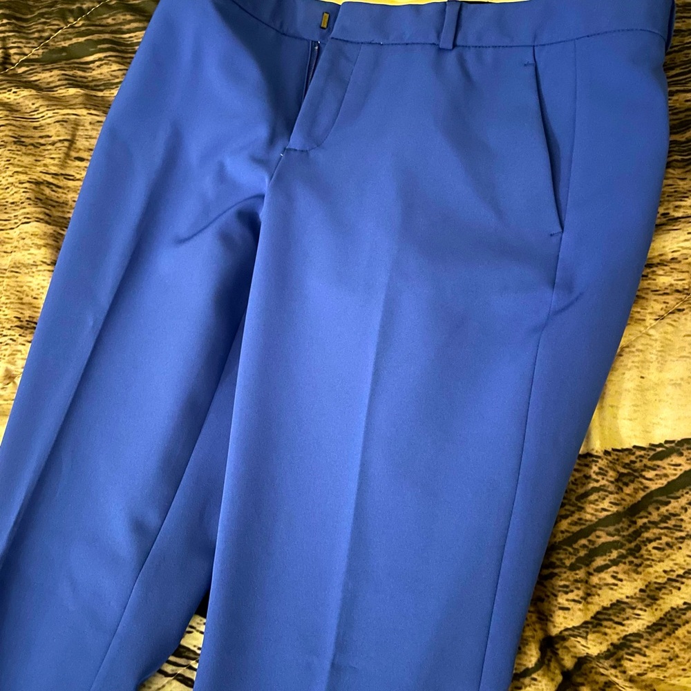 Banana Republic Women’s 4 Blue Ryan Pant